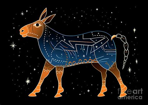  The Astronomer's Donkey? A Hilarious Tale of Celestial Mishaps and Stubborn Beasts from 18th Century Turkey!