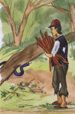  The Woodcutter and the Giant Snake - A Tale of Courage and Unexpected Friendship from Ancient Brazil?